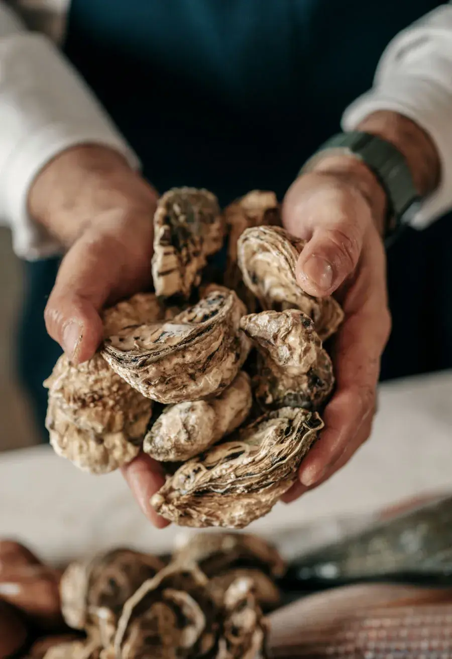 Gastronomy
